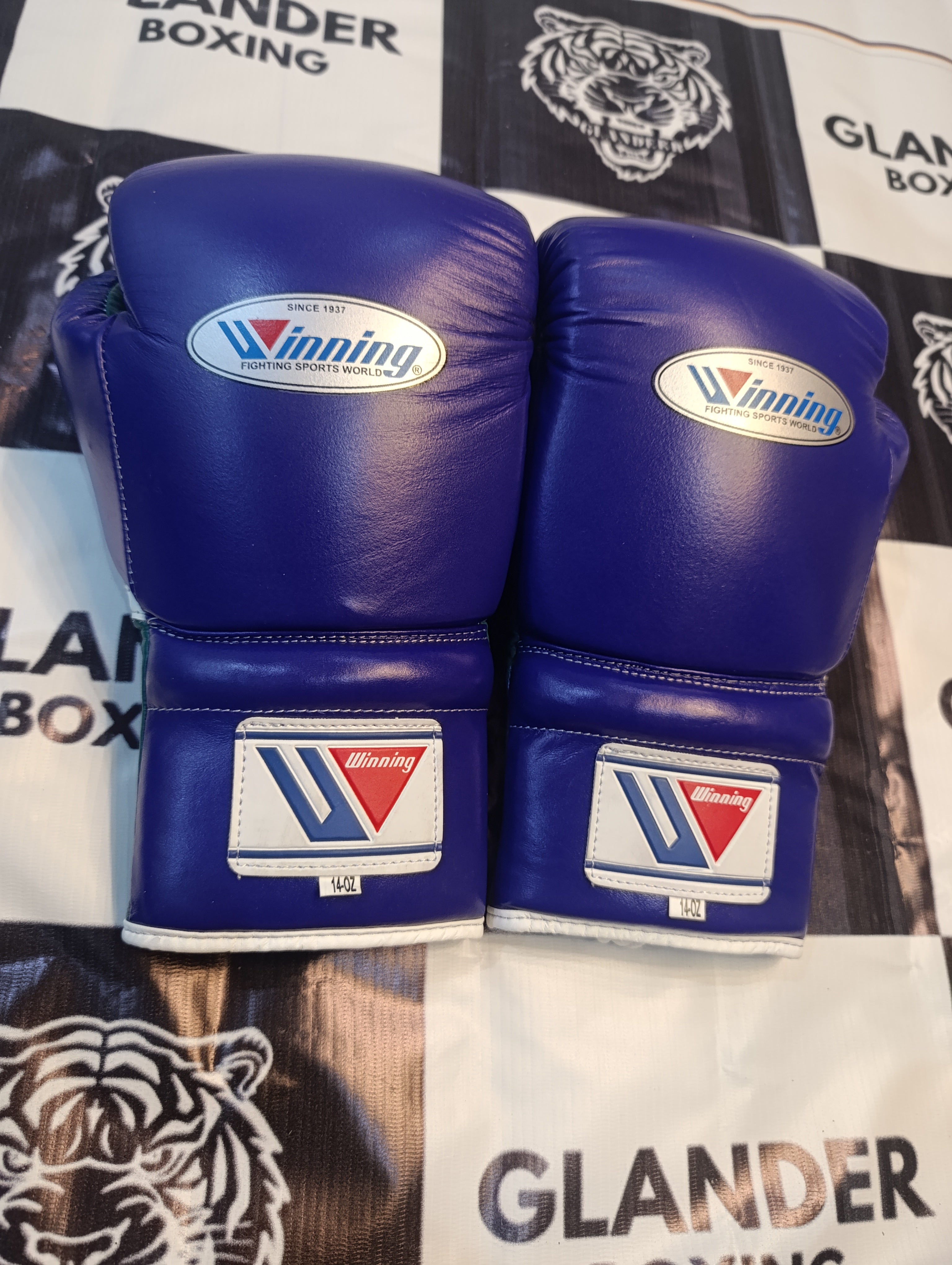 Purple & Green with White trim Pro Elite Boxing Gloves | Winnings | Personalise your name | 100% Pure Leather | Best Choice for Fighters