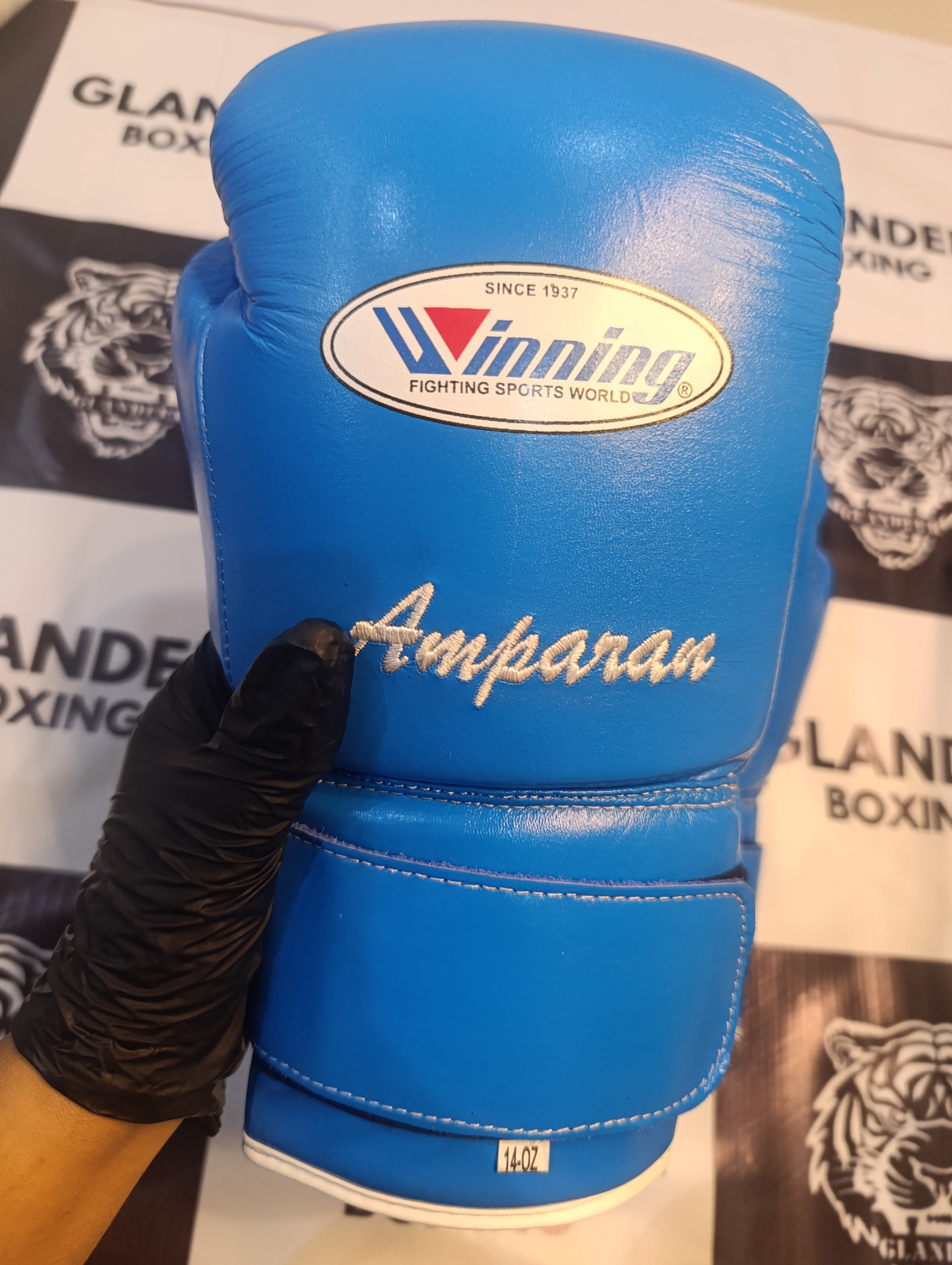 Pro Elite Baby Blue Boxing Gloves | Winnings | 100% Leather | Premium Quality | Personalise your name | Champions Choice |