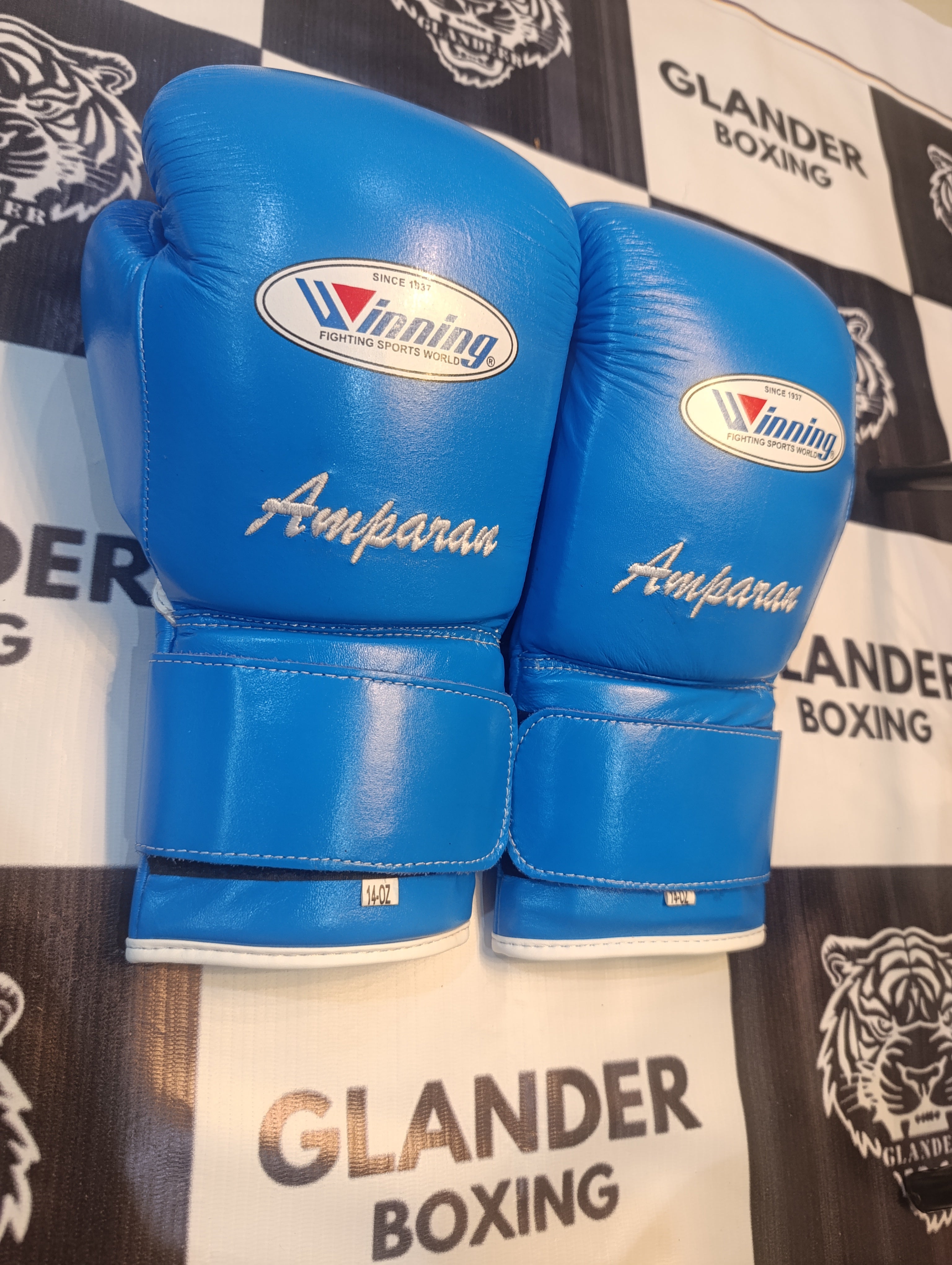 Pro Elite Baby Blue Boxing Gloves | Winnings | 100% Leather | Premium Quality | Personalise your name | Champions Choice |