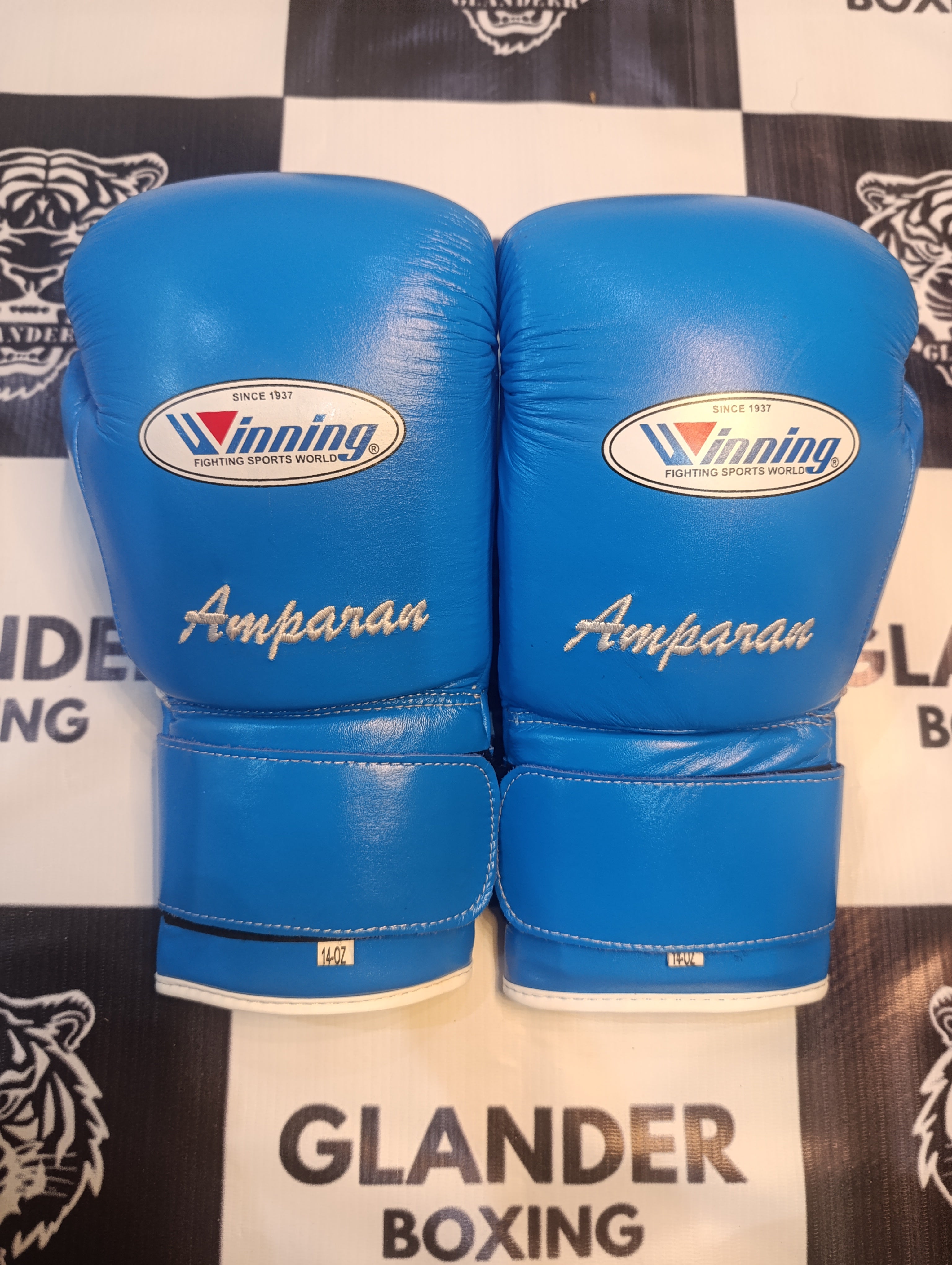 Pro Elite Baby Blue Boxing Gloves | Winnings | 100% Leather | Premium Quality | Personalise your name | Champions Choice |
