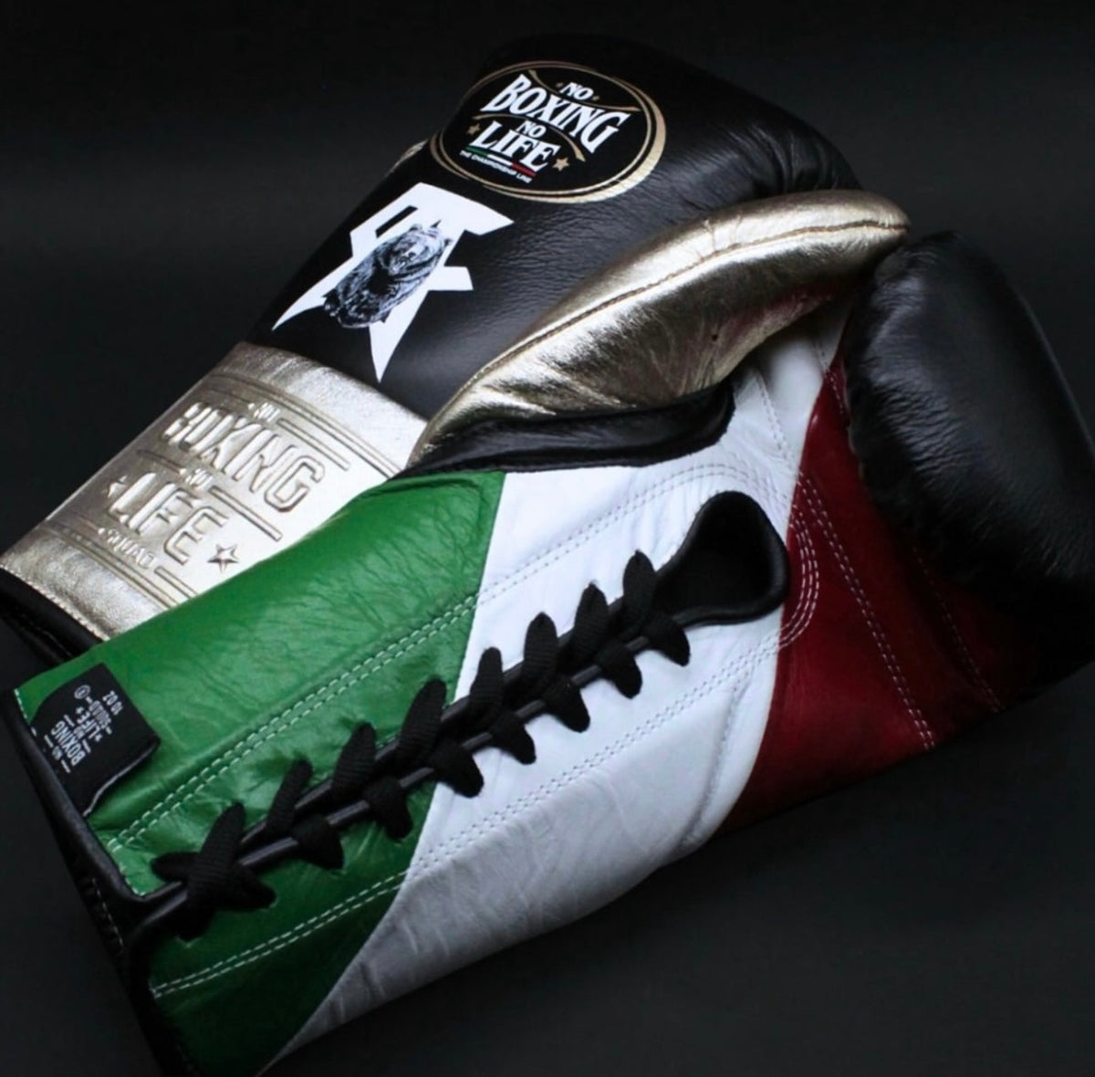 Canelo Edition Fight Gloves No Boxing No Life Boxing Gloves