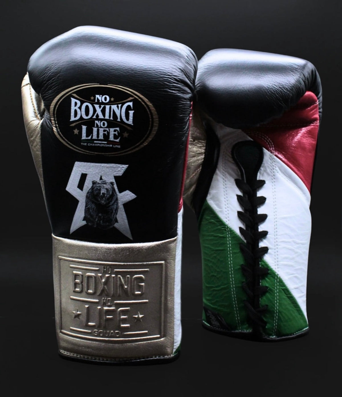 Canelo Edition Fight Gloves No Boxing No Life Boxing Gloves