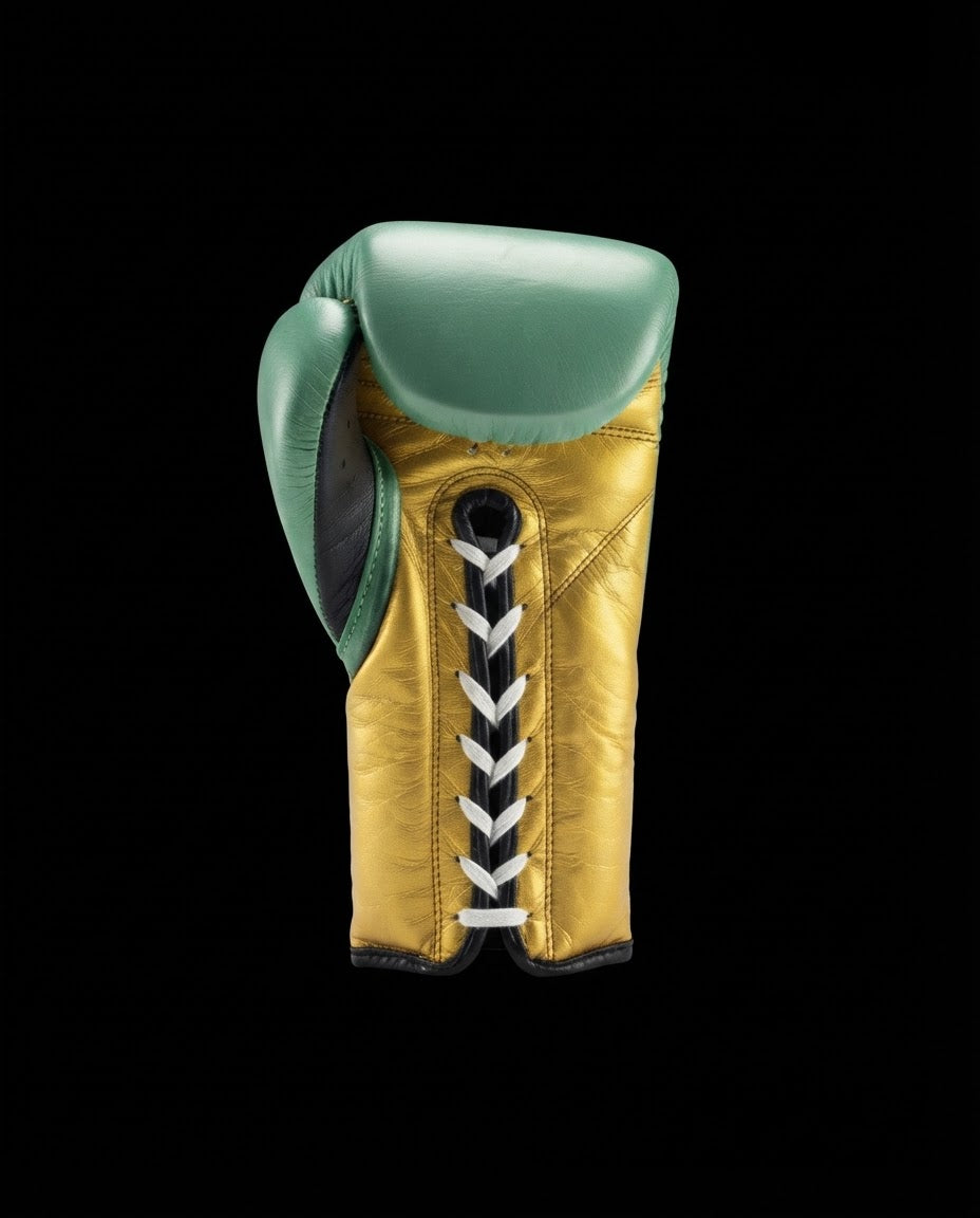 CLETO REYES TRAINING GLOVES WITH HOOK AND LOOP CLOSURE – WBC EDITION