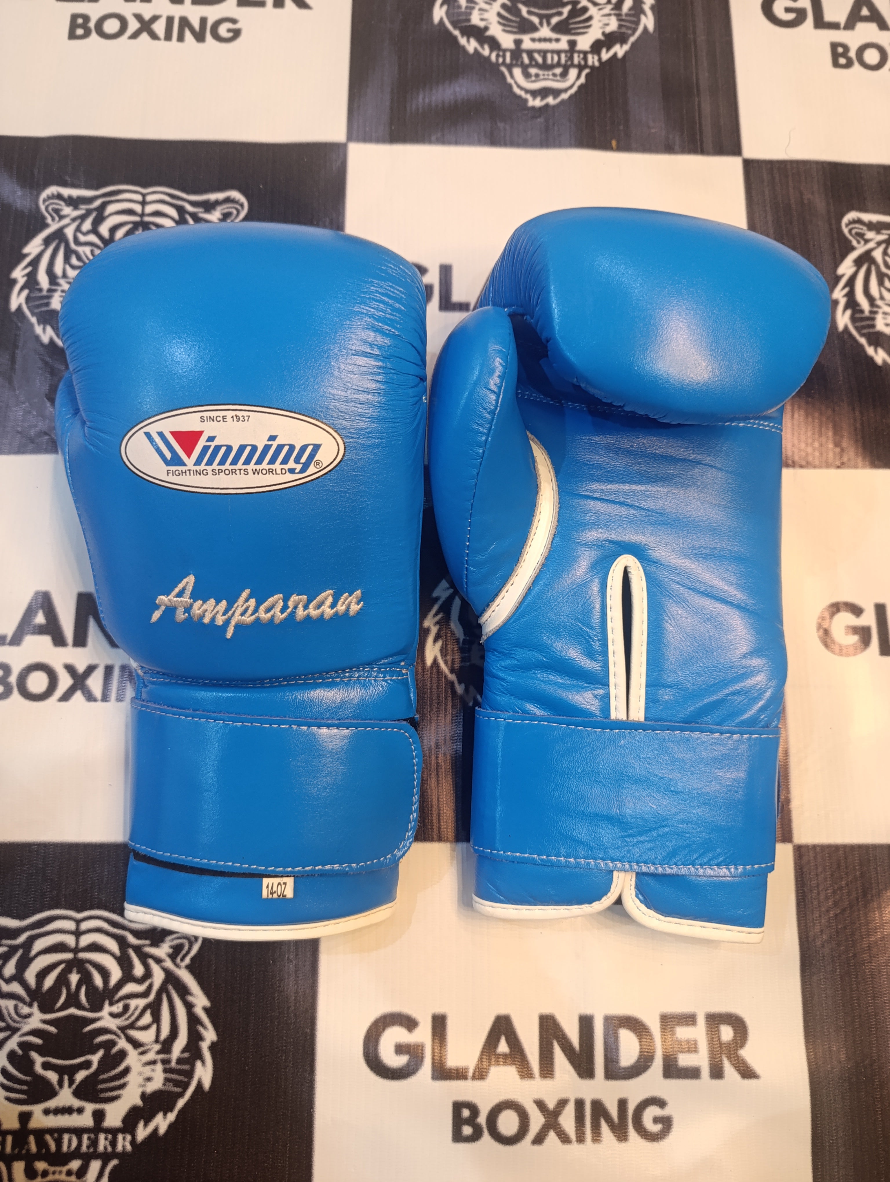 Pro Elite Baby Blue Boxing Gloves | Winnings | 100% Leather | Premium Quality | Personalise your name | Champions Choice |