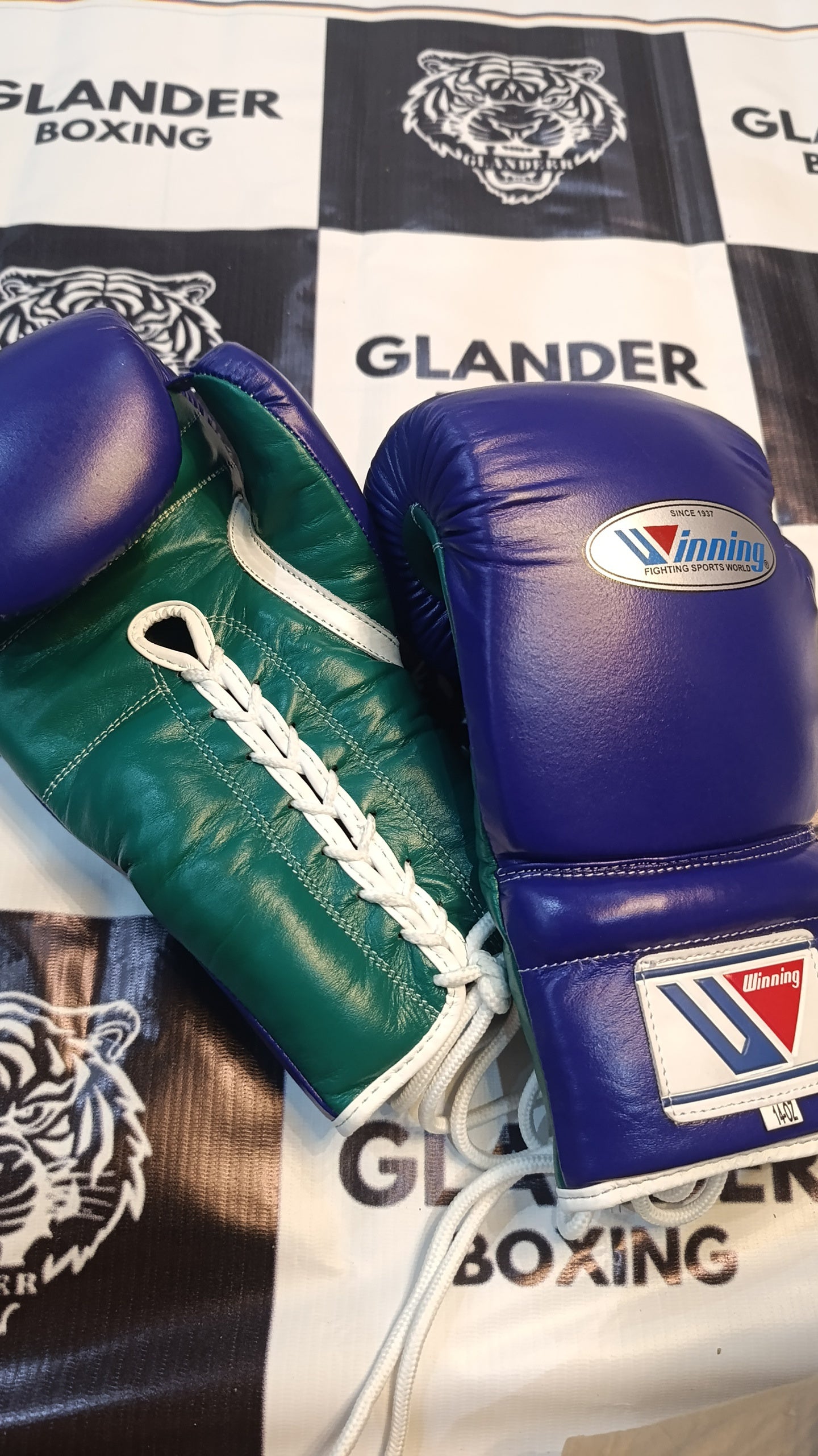 Purple & Green with White trim Pro Elite Boxing Gloves | Winnings | Personalise your name | 100% Pure Leather | Best Choice for Fighters