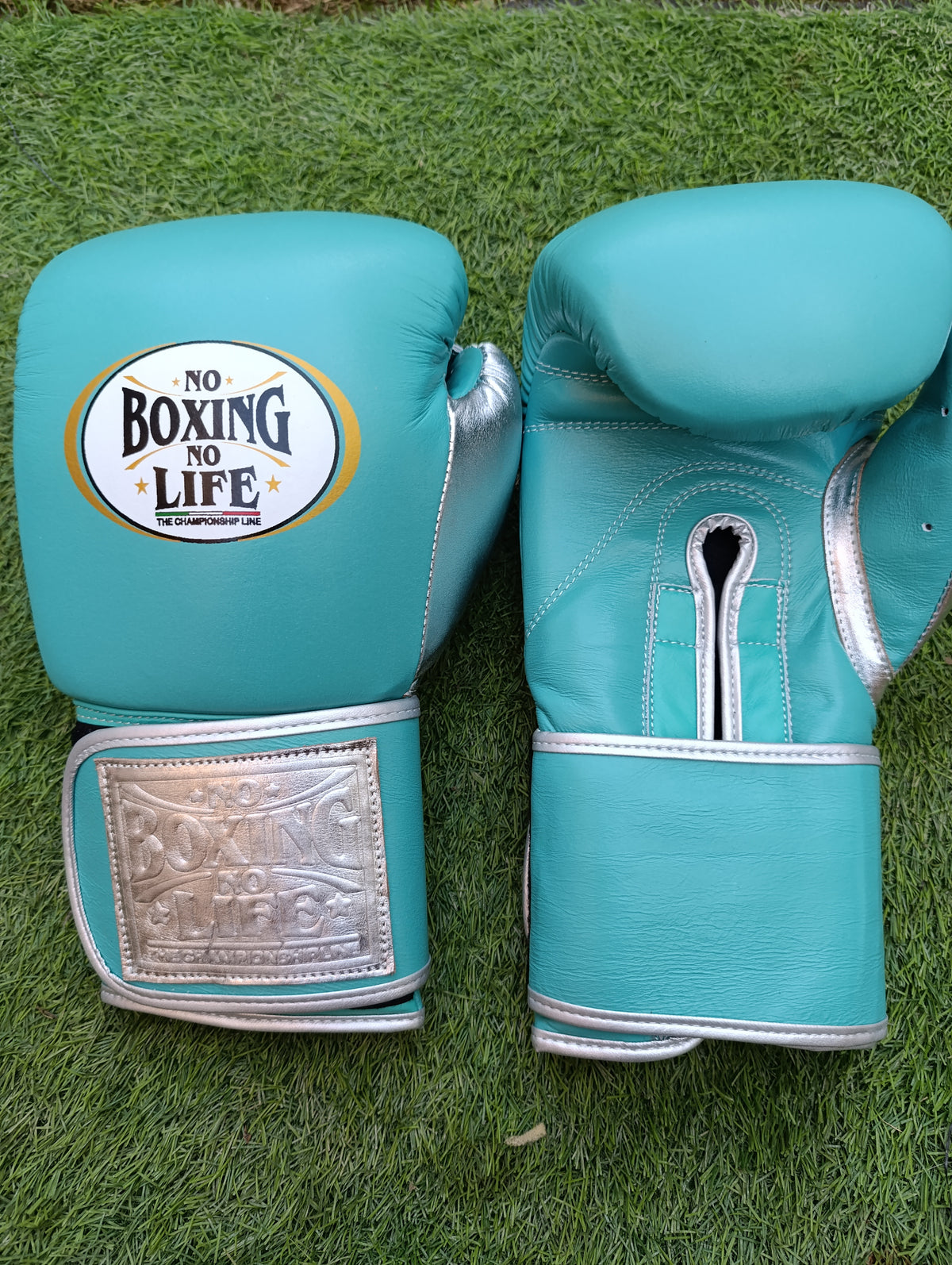 Sky Blue & Silver "No Boxing No Life" Boxing Gloves