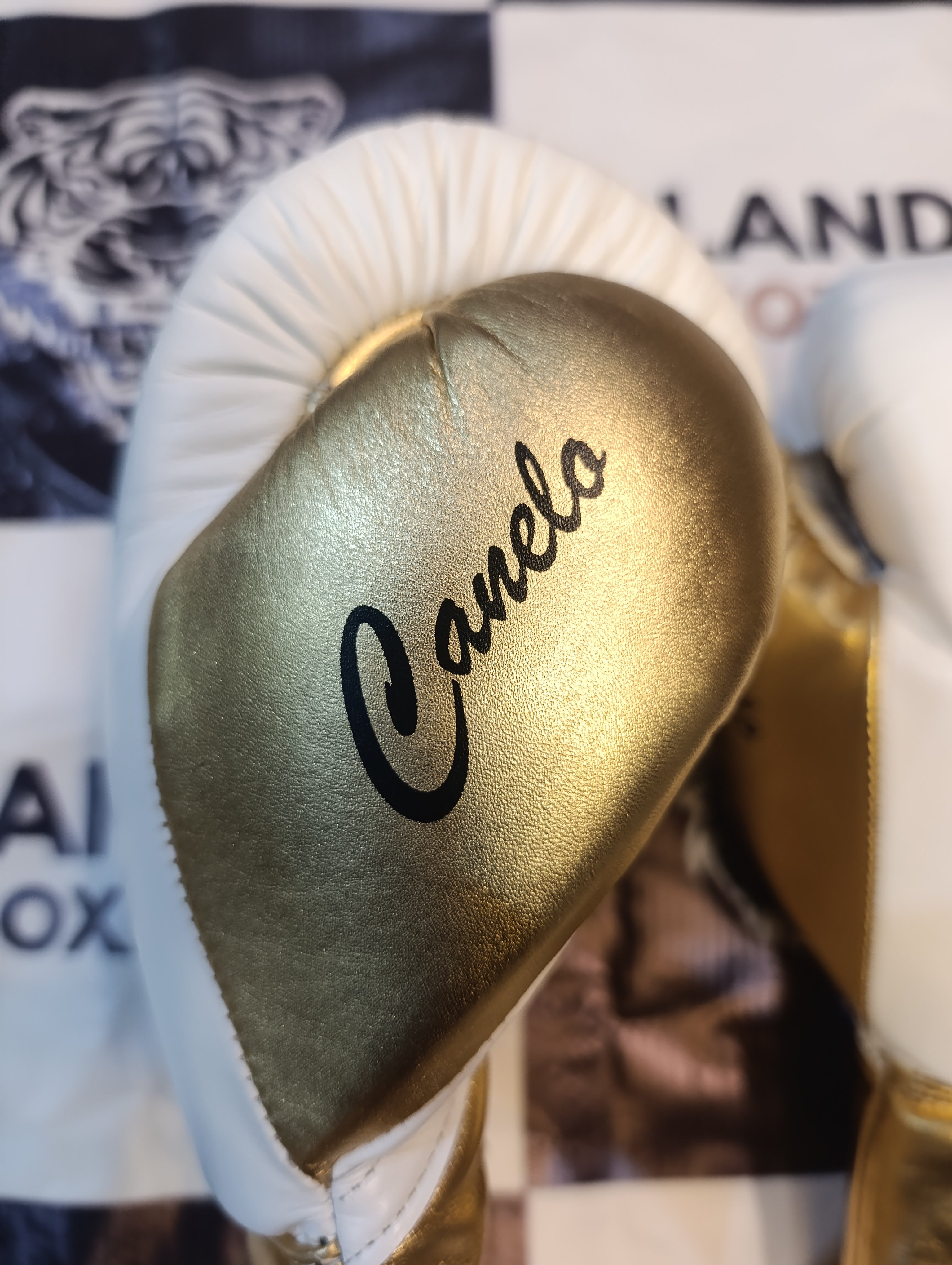White & Gold Pink Pro Elite Boxing Gloves | 100% Pure Leather | Best Choice for Fighters