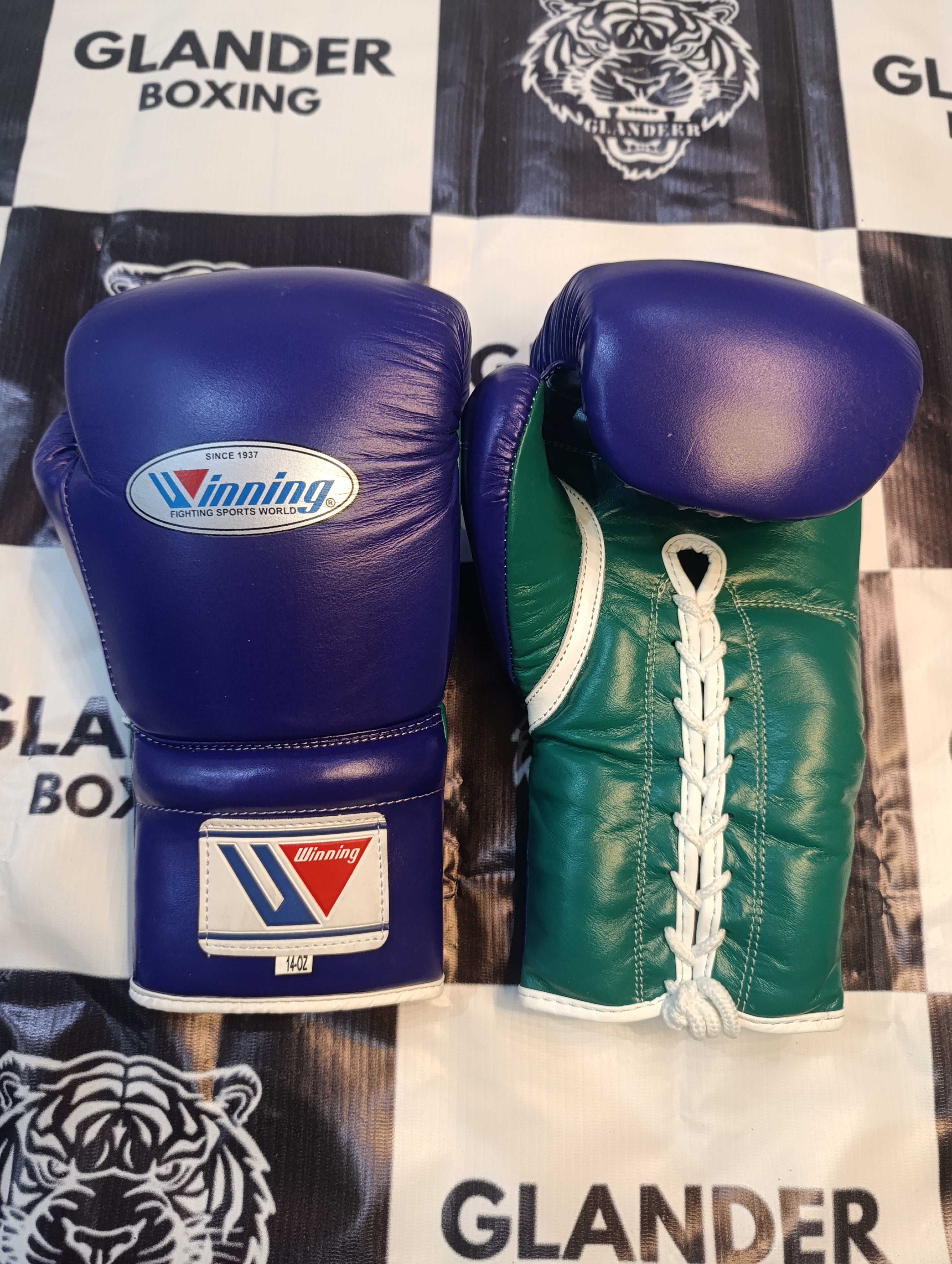 Purple & Green with White trim Pro Elite Boxing Gloves | Winnings | Personalise your name | 100% Pure Leather | Best Choice for Fighters